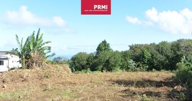 uniquement chez prmi / terrain 1548 m2 / petite-île (ravine du pont)