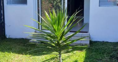 appartement t2 avec jardin, rÉsidence privÉe